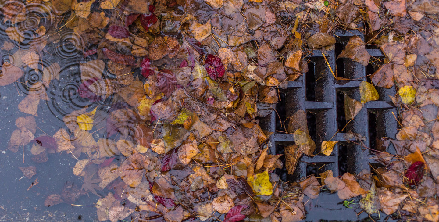 leaf_and_water_grate